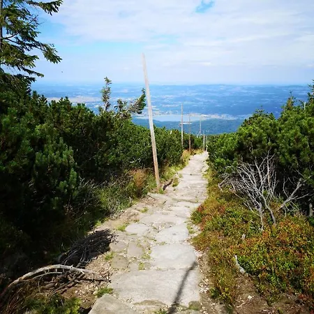 Appartement Przy Stoku Trojkaty I Kwadraty Karpatia