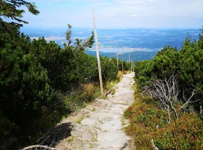아파트 Przy Stoku Trojkaty I Kwadraty Karpatia