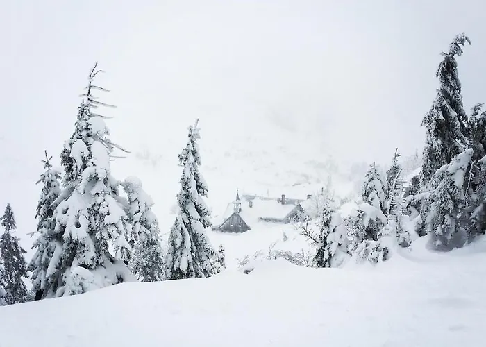Przy Stoku Trojkaty I Kwadraty Karpatia